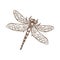 Dragonfly fast-flying long-bodied predatory insect with two pairs of wings