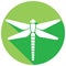 Dragonfly flat icon vector illustration