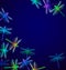 Dragonfly and Flowers. Dark blue backgrounds. Summer night.