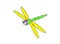 A dragonfly with a green body and yellow wings.