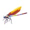 dragonfly insect animal design cartoon wpap popart artwork with cool color