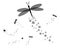 Dragonfly insect silhouette vector shadow fly ornament