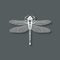 Dragonfly insect symbol