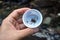 Dragonfly larva in a plastic sample collection cup on hand.