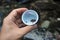 Dragonfly larva in a plastic sample collection cup on hand.