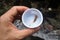 Dragonfly larva in a plastic sample collection cup on hand.