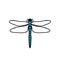 Dragonfly logo symbol icon sign, blue color