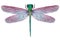 Dragonfly with pink wings on a white background