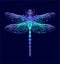 Dragonfly. Seamless Pattern. Dark blue backgrounds. Summer night.