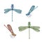Dragonfly set watercolor illustration. Hand drawn damsefly side and top view elements collection. Bright insect close up image.