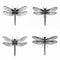 Dragonfly silhouette Dragonfly clipart stickers