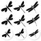 Dragonfly stickers