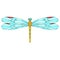 Dragonfly vector drawing. Insect dragonfly coloring book. EPS 10 Template.