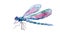 Dragonfly watercolor abstract on white background