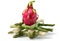 Dragonfruit on Asparagus