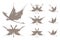 Dragons butterfly symbols