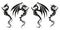 Dragons - Dragon symbol tattoo, set of black and white vector illustration