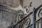 Dragons on the entrance gate of Palazzo civico, Cagliari, Sardinia, Italy