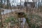 A drain pipe with water flowing out sounded by stones, fallen autumn leaves and lush green plants and bare winter trees