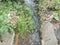 Drainage canal with water, plants, cement, and rocks