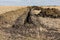 Drainage tile trench in farm field