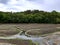 The drained pond full of mud from the fields tributaries of the streams feeds it will soon be cleaned by excavators