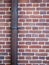 Drainpipe against brick wall