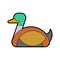 Drake duck male isolated. waterfowl bird Vector illustration