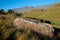 Drakensberg mountain landscape - South Africa