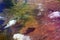 Dramatic aerial view from plane of patchwork farmland and house