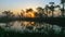 Dramatic artistic sunrise landscape with flooded wetlands, small marsh ponds, moss and bog pines