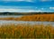 Dramatic autumn backwater landscape background