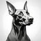 Dramatic Black And White Doberman Terrier Illustration