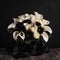 Dramatic bouquet with black calla lilies and white roses. Mother\\\'s Day Flowers Design concept