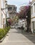 Dramatic cliff in background from floral avenue in Puerto de Mogan on Gran Canaria.