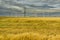 Dramatic cloud sky over cornfield with dark rain clouds and power lines and wind turbines