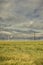 Dramatic cloud sky over cornfield with dark rain clouds and power lines and wind turbines