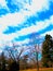 Dramatic Cloud Strips Cross the Deep Blue Sky With Bare Tree Branches Beneath