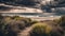 Dramatic clouds over empty landscape with coastal plants.