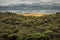 Dramatic clouds over the Pacific Dunes State Park, California