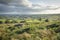 Dramatic Clouds over Scenic Countryside Fields in UK