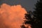 Dramatic cloudscape with orange and red clouds. Foreground tree.
