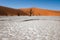 Dramatic colors of Dead Vlei, Sossusvlei National Park, Namibia