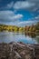 Dramatic crisp autumn sky over Tyrrel Lake at Innisfree Garden, Millbrook, New York