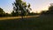 Dramatic drone shot revealing the landscape through apple trees at sunrise