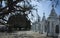 Dramatic dry tree near white stupas of Kuthodaw Pagoda contain worlds biggest book - 729 kyauksa gu