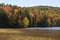 Dramatic fall colors and peat bog on shore of Russell Pond, New