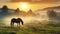 Dramatic foggy scene. Arabian horses grazing on pasture at sundown in orange sunny beams
