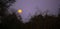 Dramatic full moon Super-moon sky in the African Savannah