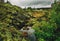 Dramatic gloomy Iceland landscape. Stony volcanic rocks and a lake with branches of rowan berries.